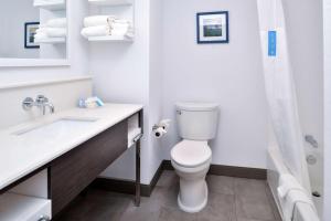 Hampton Inn Cedar Falls Downtown, Ia的一间浴室