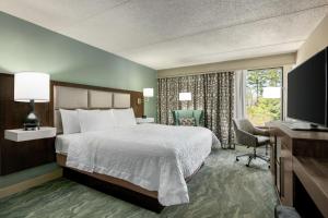 a hotel room with a bed and a television at Hampton Inn Richmond/Ashland in Ashland