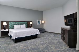 锡达福尔斯Hampton Inn Cedar Falls Downtown, Ia的一间配有床和平板电视的酒店房间