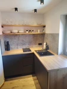 a kitchen with a sink and a counter top at Apartament u Bobaków 2 in Bańska Niżna
