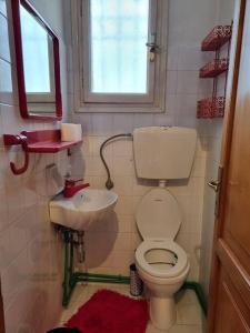 uma pequena casa de banho com WC e lavatório em ΚΤΗΜΑ ΜΠΟΡΑΒΟΥ em Kastoria