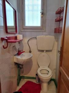 een kleine badkamer met toilet en wastafel bij ΚΤΗΜΑ ΜΠΟΡΑΒΟΥ in Kastoria +29 foto's