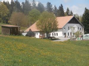 Příroda nedaleko bed and breakfast