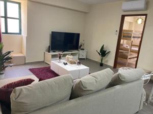 a living room with a couch and a tv at SPA - Casa do Avo BESELGA in Santo Amaro