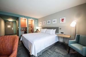 Cette chambre comprend un grand lit et une chaise. dans l'établissement Hilton Garden Inn Asheville South, à Asheville