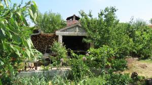 a small house in the garden at Apartments Marko in Vodice