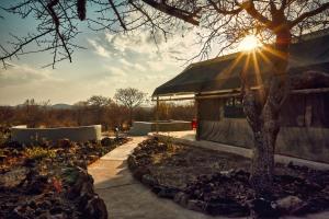 un bâtiment où le soleil brille derrière un arbre dans l'établissement ZuriCamp - Tent Zahir, à Tsumeb