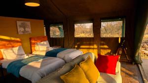 a room with two beds and a couch and windows at ZuriCamp - Tent Zahir in Tsumeb