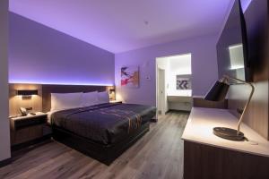 ヒューストンにあるExpress Inn & Suitesの紫色のベッドルーム(ベッド1台、ランプ付きデスク付)