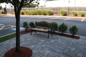 un banco de parque junto a un árbol en un estacionamiento en Hampton Inn Boston/Braintree, en Braintree