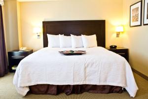 Postel nebo postele na pokoji v ubytování Hampton Inn & Suites Boston Crosstown Center