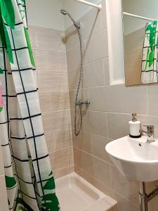 une salle de bain avec douche, lavabo et toilettes dans l'établissement Apartamentos Carrillo 6, à Santa Cruz de Tenerife