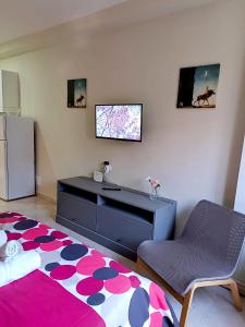 sypialnia z łóżkiem, telewizorem i krzesłem w obiekcie Apartamentos Carrillo 6 w mieście Santa Cruz de Tenerife