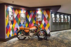 内蒂克The Verve Boston Natick, Tapestry Collection by Hilton的相册照片