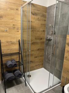 a shower in a bathroom with a glass shower stall at Hobití apartmán - Bilbo in Černá v Pošumaví