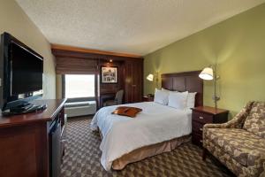 ein Hotelzimmer mit einem Bett und einem TV in der Unterkunft Hampton Inn I-10 & College Drive in Baton Rouge