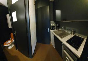a small kitchen with a sink and a toilet at Les saisies-gîte les carolos in Les Saisies +31 photos