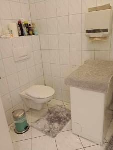 ein weißes Bad mit einem WC und einer Theke in der Unterkunft Bizarres Wohnen in Sankt Leon-Rot