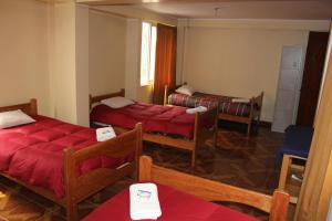 Lova arba lovos apgyvendinimo įstaigoje Cuscopackers Hostels