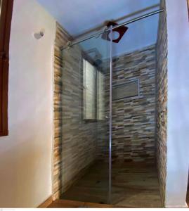 przeszklony prysznic w pokoju z ceglaną ścianą w obiekcie aparta estudio turístico w mieście Salento