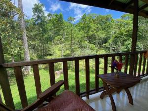 - Balcón con mesa y vistas al bosque en Siquirres Mountain Lodge en Siquirres