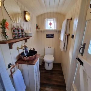 La petite salle de bains est pourvue d'un lavabo et de toilettes. dans l'établissement The Delkin Shepherds Huts Castle Combe, à Castle Combe