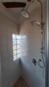 a bathroom with a shower with a window at La Casetta di Treville in Ozzano Monferrato