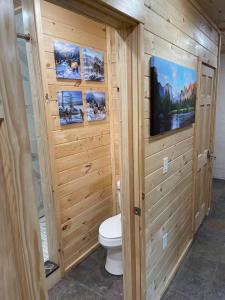 a bathroom with a toilet and a tv on a wall at OVERLOOK LODGE in Banner Elk