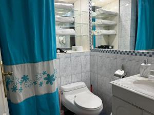 baño con aseo y cortina de ducha azul en Departamento altos del centro, en Osorno