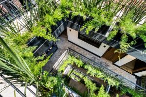 an overhead view of a building with plants at ULIV Roma Norte in Mexico City