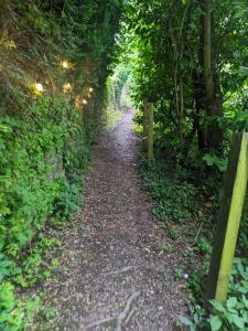 um caminho numa floresta com uma cerca de madeira em Stay Wild Retreats 'Glamping Pods and Tents' em Wrexham
