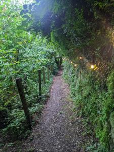 a path through a field of plants on a hill at Stay Wild Retreats 'Glamping Pods and Tents' in Wrexham