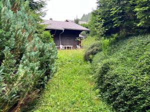a house in the middle of a field of bushes at Chalet Hildegard in Plaffeien