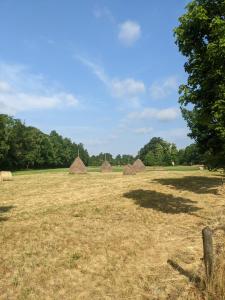 Billede fra billedgalleriet på Am Waldrand Spreewald i Burg