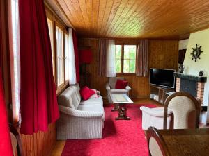 sala de estar con sofá y TV en Chalet Hildegard en Plaffeien