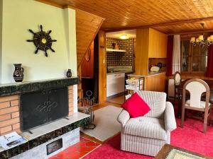 sala de estar con chimenea y reloj en la pared en Chalet Hildegard en Plaffeien