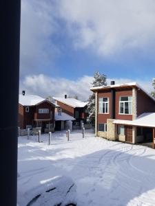 Casa Bosco Villa La Angostura v zimě