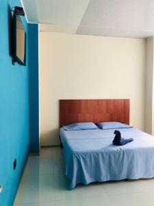 a bedroom with a bed with a black cat sitting on it at HOTEL EMPERADOR PREMIUM in Jamundí