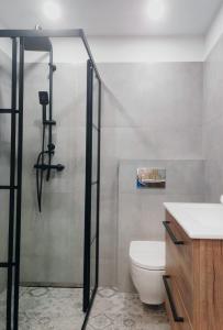 a bathroom with a shower and a toilet and a sink at Apartament ''Na Szlaku'' in Głuchołazy