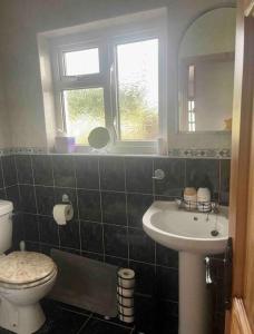łazienka z umywalką, toaletą i oknem w obiekcie Tigh Seoighe - Renovated Cottage Tourmakeady w mieście Toormakeady