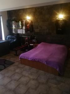 ein Schlafzimmer mit einem Bett mit einer lila Decke in der Unterkunft RENA in Prag