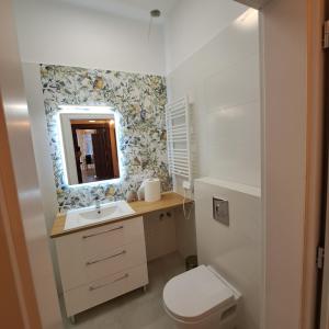 a bathroom with a toilet and a sink and a mirror at Apartament Piastowski in Świeradów-Zdrój