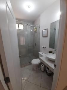 ein Bad mit einer Dusche, einem WC und einem Waschbecken in der Unterkunft House in San Miguel, Res. San Andres in San Miguel