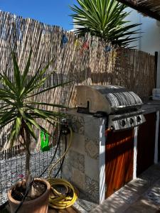 un patio con una parrilla y una palmera en Casita Mar de Pulpí, en San Juan de los Terreros