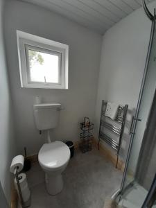 a bathroom with a toilet and a window at Central Town Apartment in Wexford