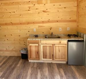 a kitchen with wooden walls and a sink and a dishwasher at Brushcreek Falls RV Resort in Princeton