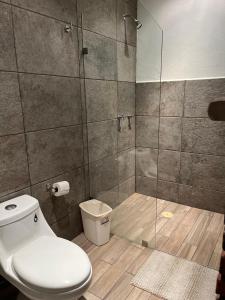 a bathroom with a toilet and a glass shower at Hotel Casa Carmona in Querétaro