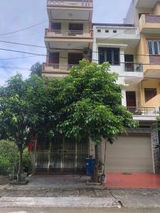 un edificio con una puerta y un árbol delante de él en Holly's Hostel Ha Giang B&B, en Ha Giang