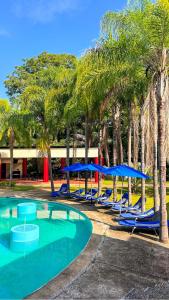 uma piscina com cadeiras azuis e palmeiras em Hotel Campestre Santa Clara em San Juan Bautista Tuxtepec