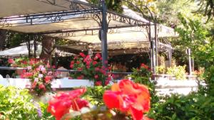 Zahrada ubytování Hotel Pensione Moderna